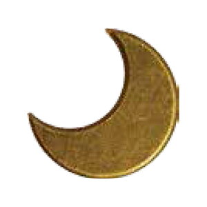 A[gLbv AeB[N C-ARAMNX-30  10/30 DANDORI VIS