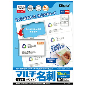 v^p/ʖhJ[hp JPCC-10P 100 Nakabayashi