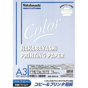 v^p/PPCJ[p HCP-3101-B O[ A3/100 Nakabayashi
