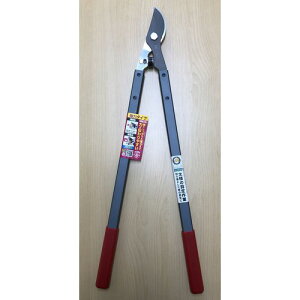 ���͌^���}���� S621-RG FG