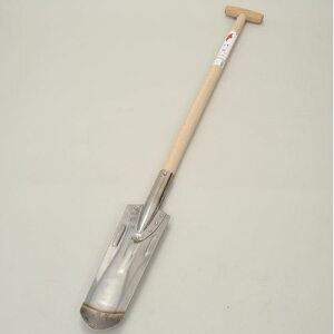 Gs XeX AD-607 琬