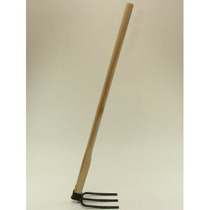 OLyʃ^Cv AD-238 琬