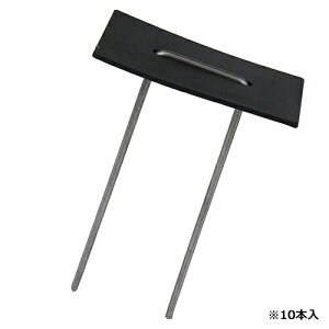 LV[gsZbg (Zbg)10{ ZteB-3