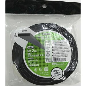 ^X|WEPDM WSG09 5×30 2m 5x30x2m WAKI