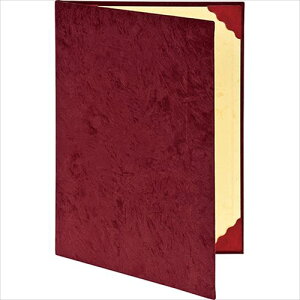 ؏t@C/2܂/XG[h FSS-A4C-R GW Nakabayashi