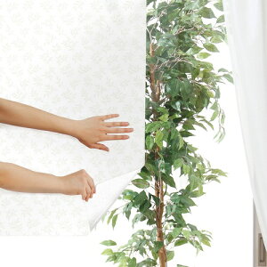 ډBV[gNX^ [t 46cmx90cm DCM