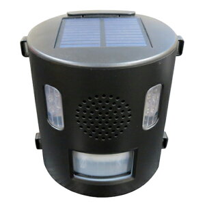 Aj}oA { AjoN IJ-ANB21 +