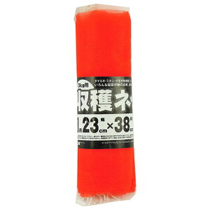 nlbg 10 3kgp  28×38cm {}^C