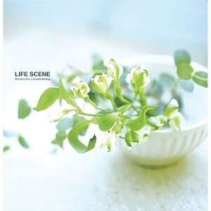 ビス式プラコート台紙フエルアルバム/L/ライフシーン LPF-1001-B ブルー Nakabayashi