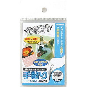 \胉~tB TLF-001 TCY/10 Nakabayashi