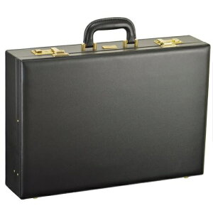 ���Y�n�[�h�A�^�b�V���P�[�X(48cm) 2122501 �� A3�t�@�C���Ή� J.C HAMILTON