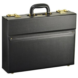 ���Y�t���C�g�P�[�X(�}�`��10cm) 2004101 �� �}�`��10cm J.C HAMILTON