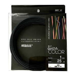 Ŏ n (ACY~) 22381083 1.0x25M NIPPOLY