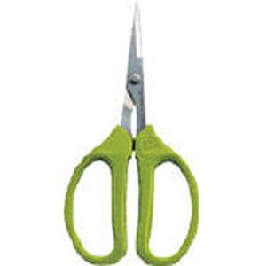 V[vNtg n 330S-T AXR[|[Vij