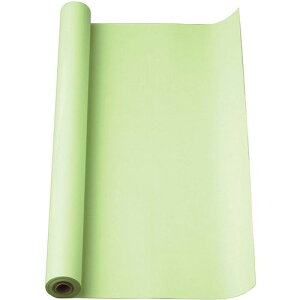 }Xږ͑30m 50mm }-53WA EOCX }AC