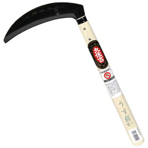 (n)165 Ln145mm n:145mm ㍲g