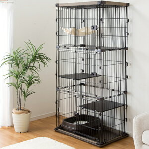 EbfBLbgP[W 3i uE 3i DCM