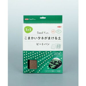 10%OFFN[| 420:00`523:59܂^l܂y s[go 5 TJ^̃^l