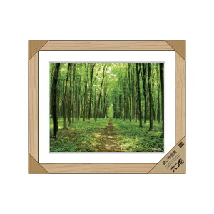 ʐ^z S16-PT11 i` Zc DCM