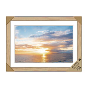 ʐ^z S16-PT12 i` ChZc DCM