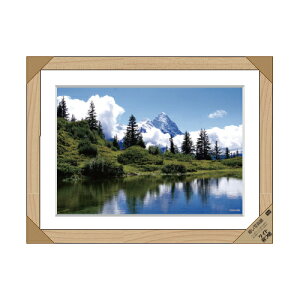 ʐ^z S16-PT14 i` Chlc DCM