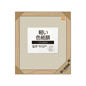 Fz S16-PT16NA i` 272x242mm DCM