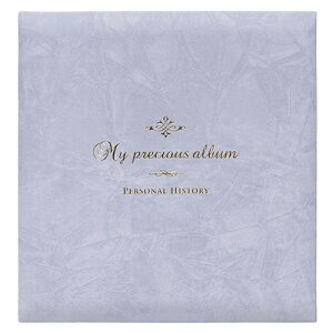 rXtGAo/100N䎆/LTCY/j AH-PA-N O[/ Nakabayashi