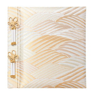 rXtGAo/vR[g䎆/؋/R A-LW-102-2 Nakabayashi