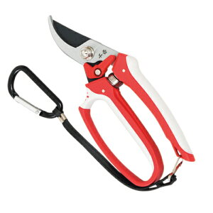 fB[X SGP-32 ՌzObv g