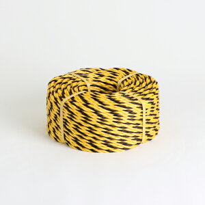 W[v No.9×100m d:2.45kg ؍j