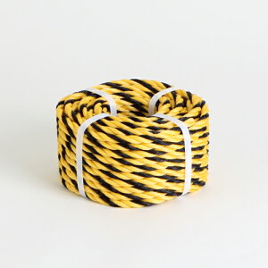 W[v No.9×20m d:0.54kg ؍j