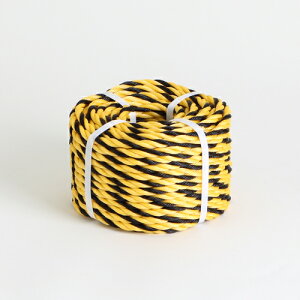 W[v No.9×30m d:0.76kg ؍j