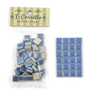 T-Rbg 10K-07 CbN CbN ʐq