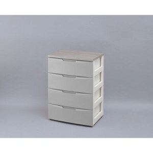 fUCEbhgbv`FXg DW-554 O[ 56cm 4i ACXI[}