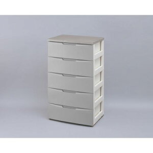 fUCEbhgbv`FXg DW-555 O[ 56cm 5i ACXI[}