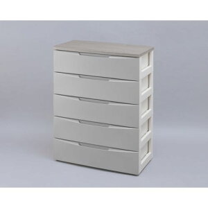 fUCEbhgbv`FXg DW-725 O[ 73cm 5i ACXI[}