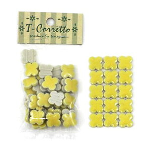 T-Rbg 14F-04 CgCG CgCG[ ʐq