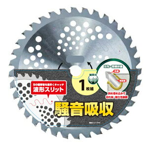 É`bv\[ É 255mm×40P DCM