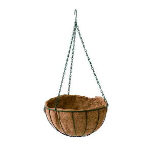 nMOpV}bg nMOpV}bg MTCY DCM