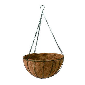 nMOpV}bg nMOpV}bg LTCY DCM