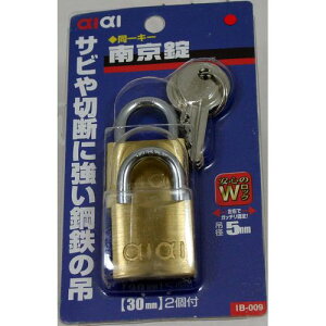 싞L[ IB-009 2 30mm aiai