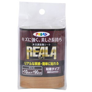 REALA RL-4 10cm×90cm ATqy