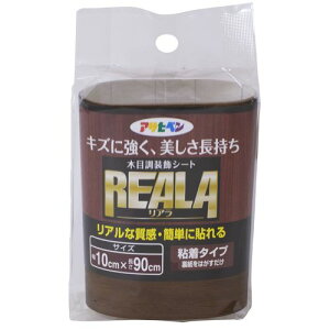 REALA RL-5 10cm×90cm ATqy