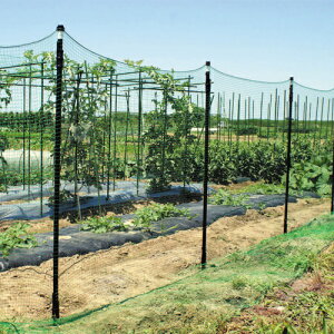 hbY 5{pbN 20mm×1200mm DCM