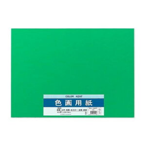色画用紙 4ツ切り Pエ-N45G マルアイ