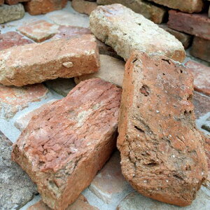 AeB[NK I[hGCWubN 10 NXstyle(lNX^C)