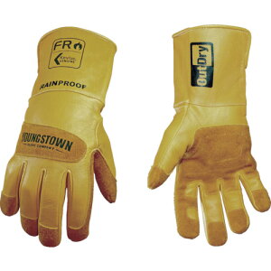 v FRCO[u AEghC 12-3495-60-L L YOUNGST