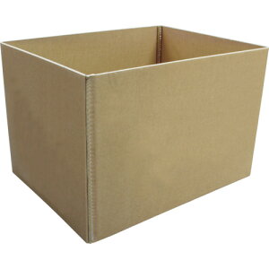 XNGApbg pX[u P-SLEEVE TRUSCO