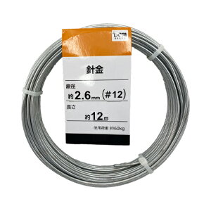 j  12×12 DCM
