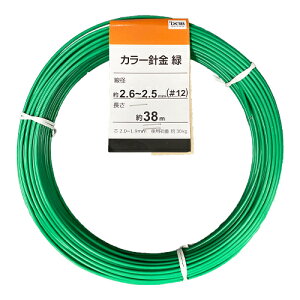 J[j1KG  12×38 DCM